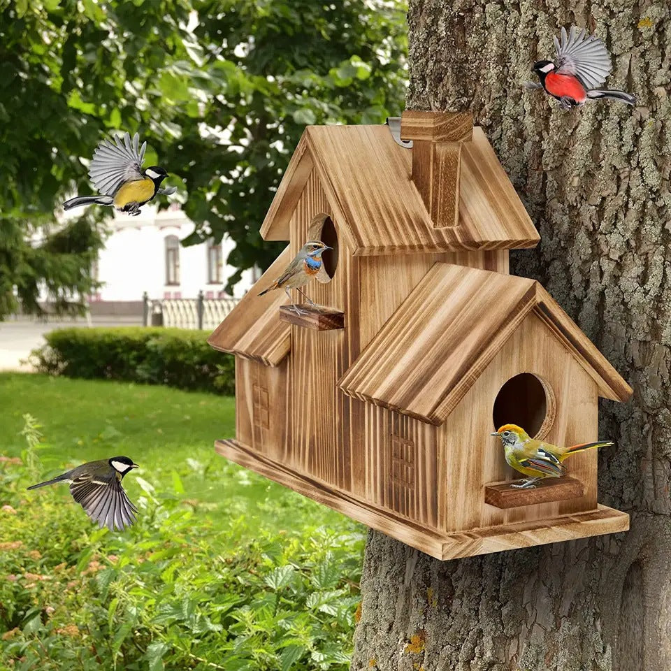 Bird Houses Wooden Bird House for Outside with Lanyard and Screws