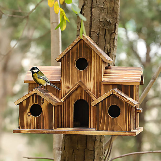 Bird Houses Wooden Bird House for Outside with Lanyard and Screws